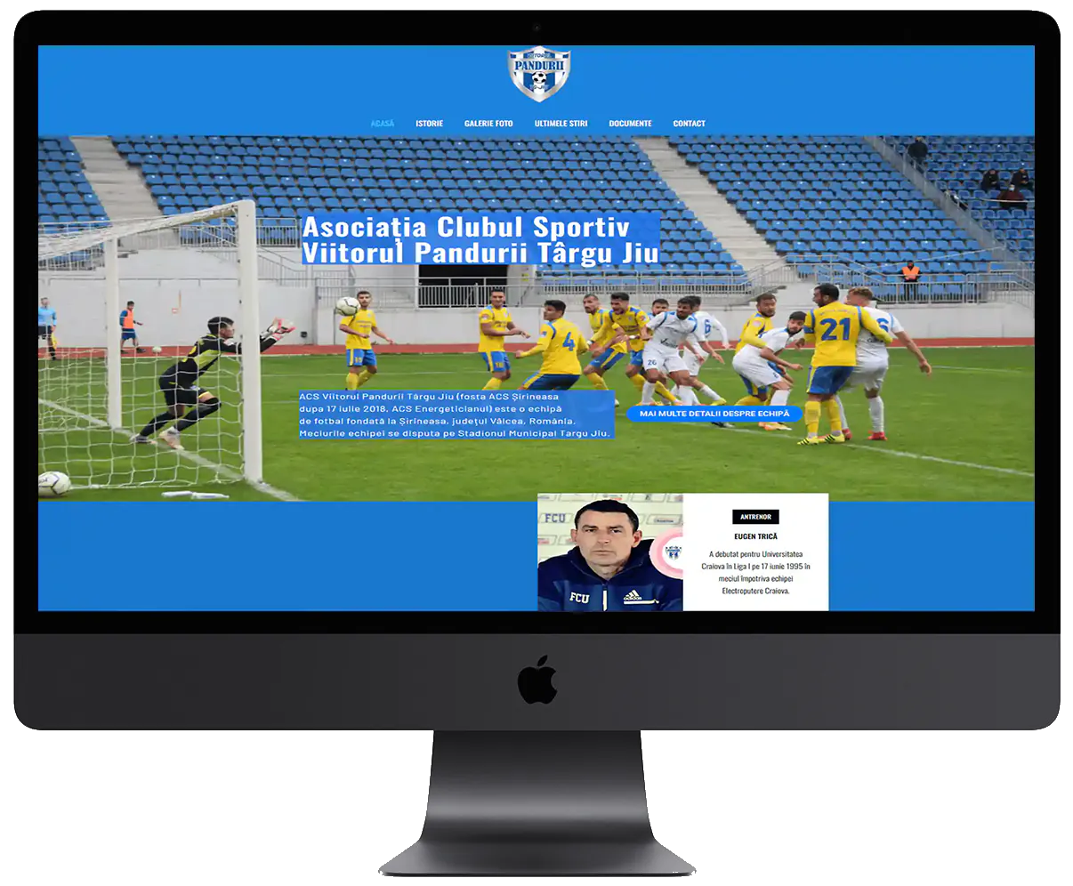 Portofoliu Web Design 46 21