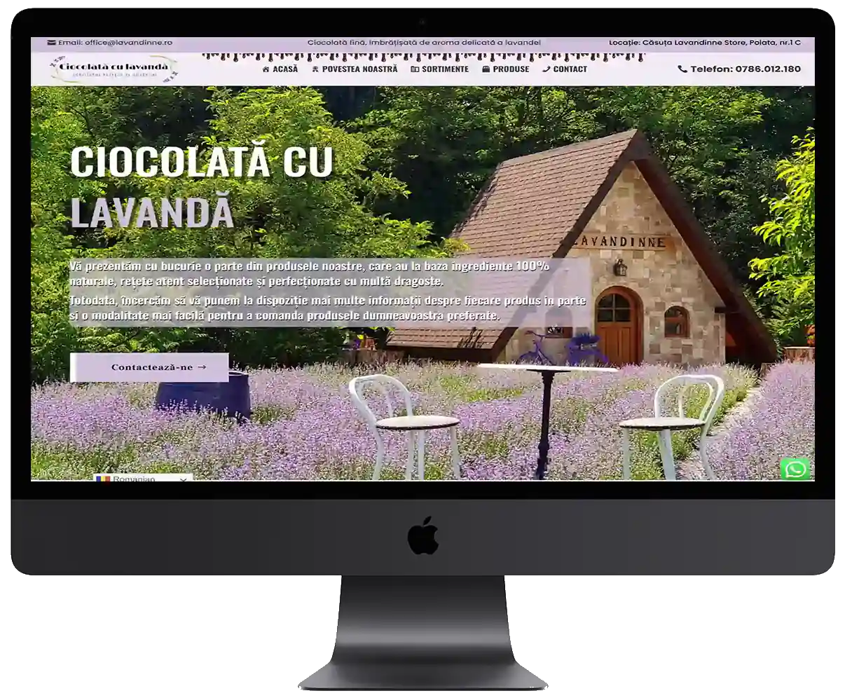 Portofoliu Web Design 19 36