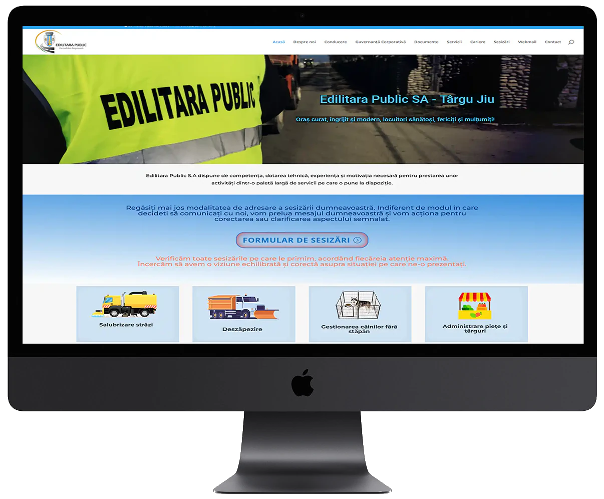 Portofoliu Web Design 16 4