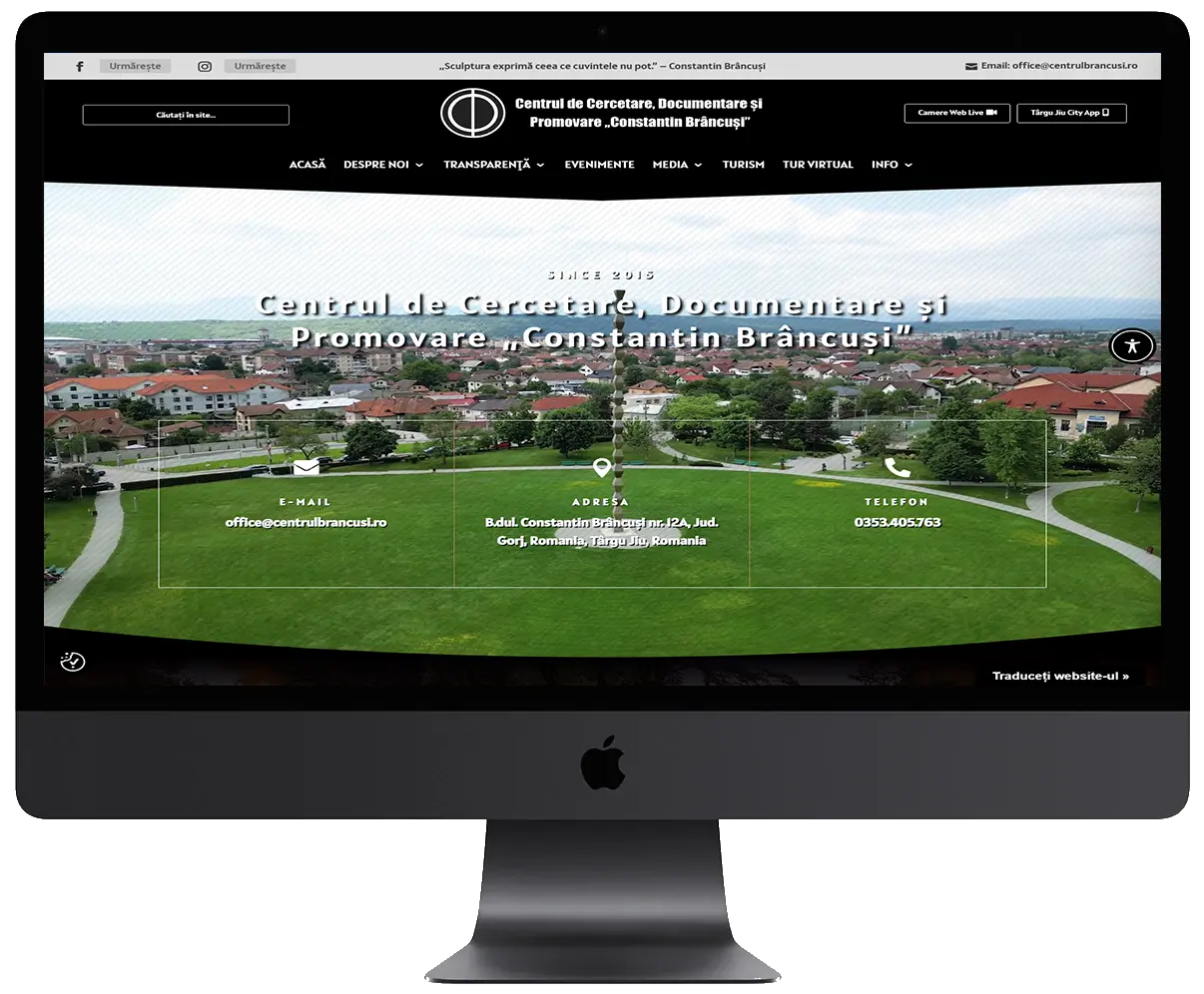 Portofoliu Web Design 4 61